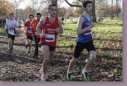 Begles 15.12.13 01 576 * 679 x 453 * (212KB)